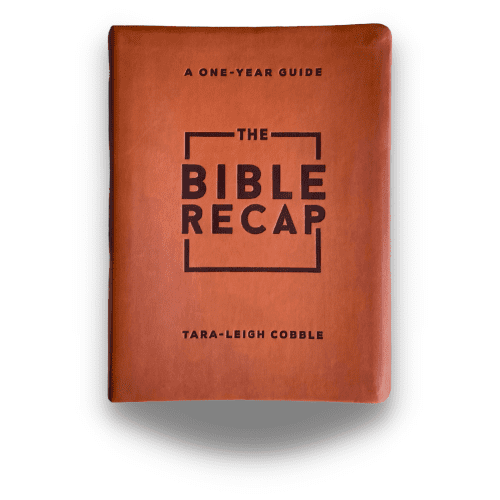 The Bible Recap: Deluxe Edition